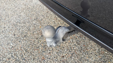 Volvo XC90 2.0 B5D [235] Plus Dark 5dr AWD Geartronic Diesel Estate